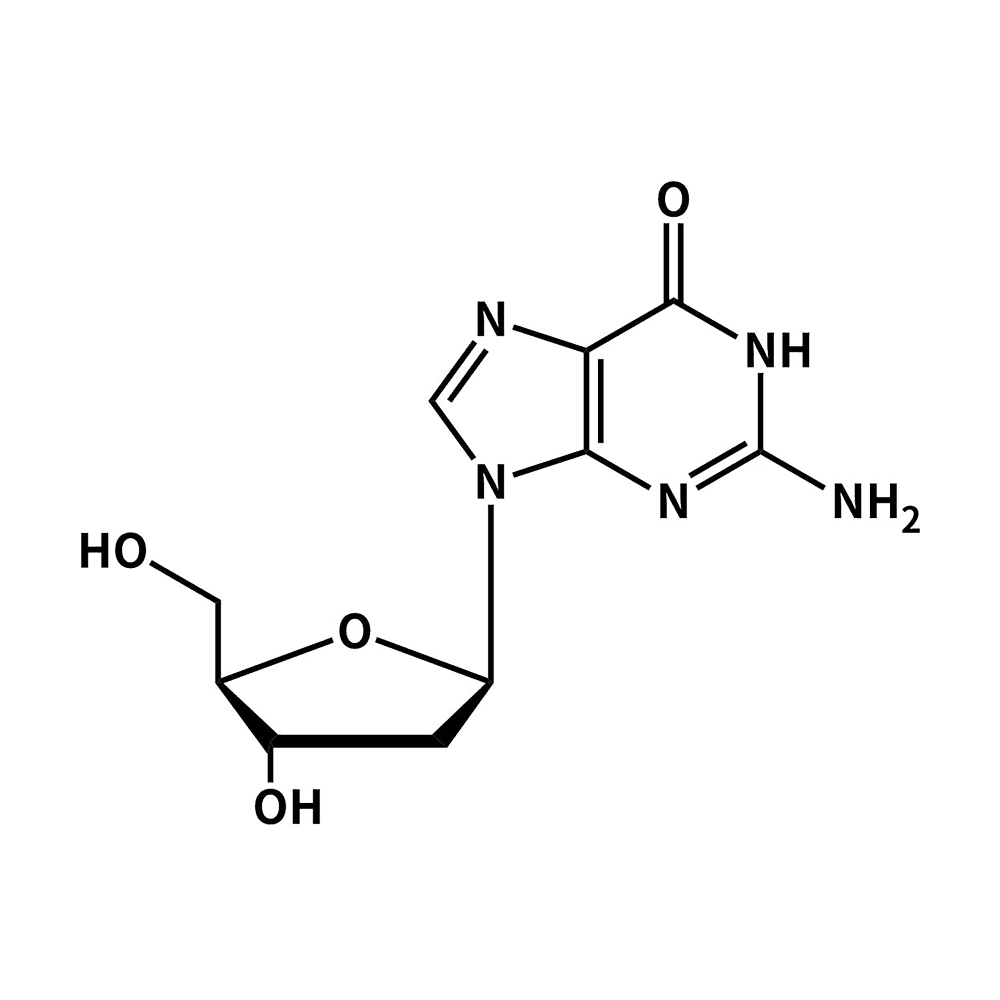 2'Deoxyguanosine monohydrate