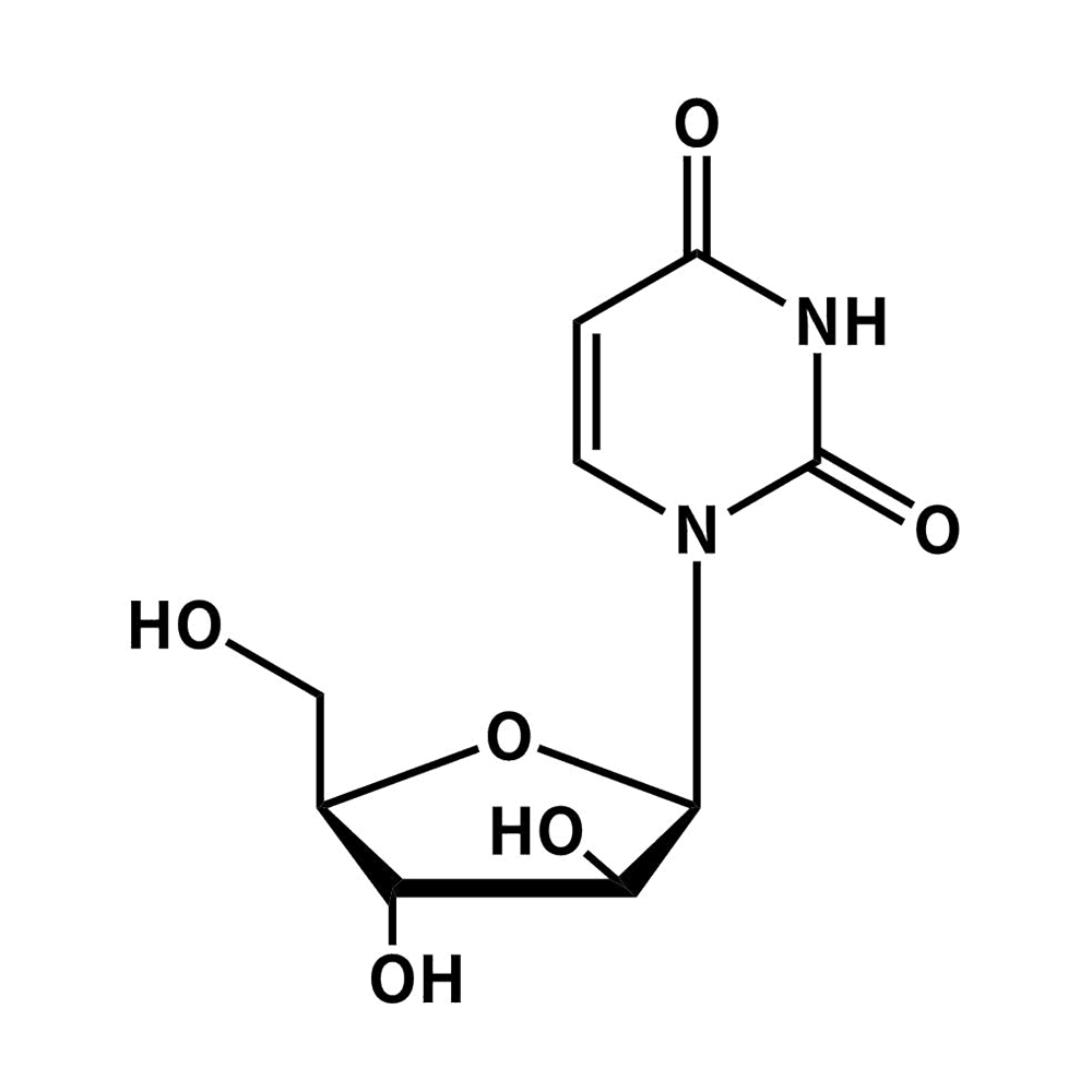 Arabinofuranosyluracil