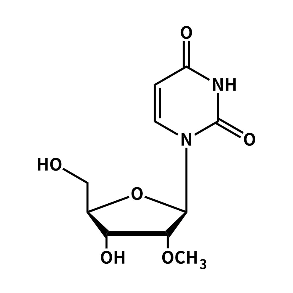 2'-0-Methyl-Uridine