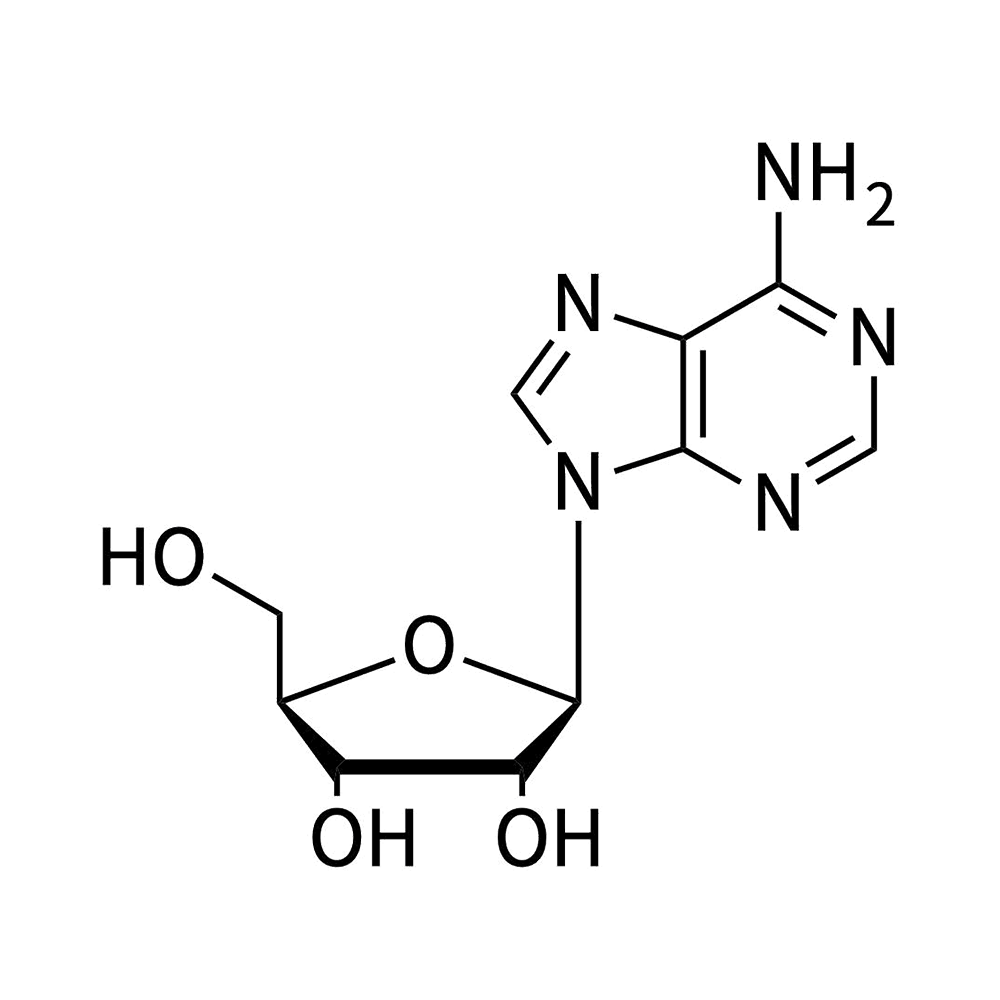 Adenosine