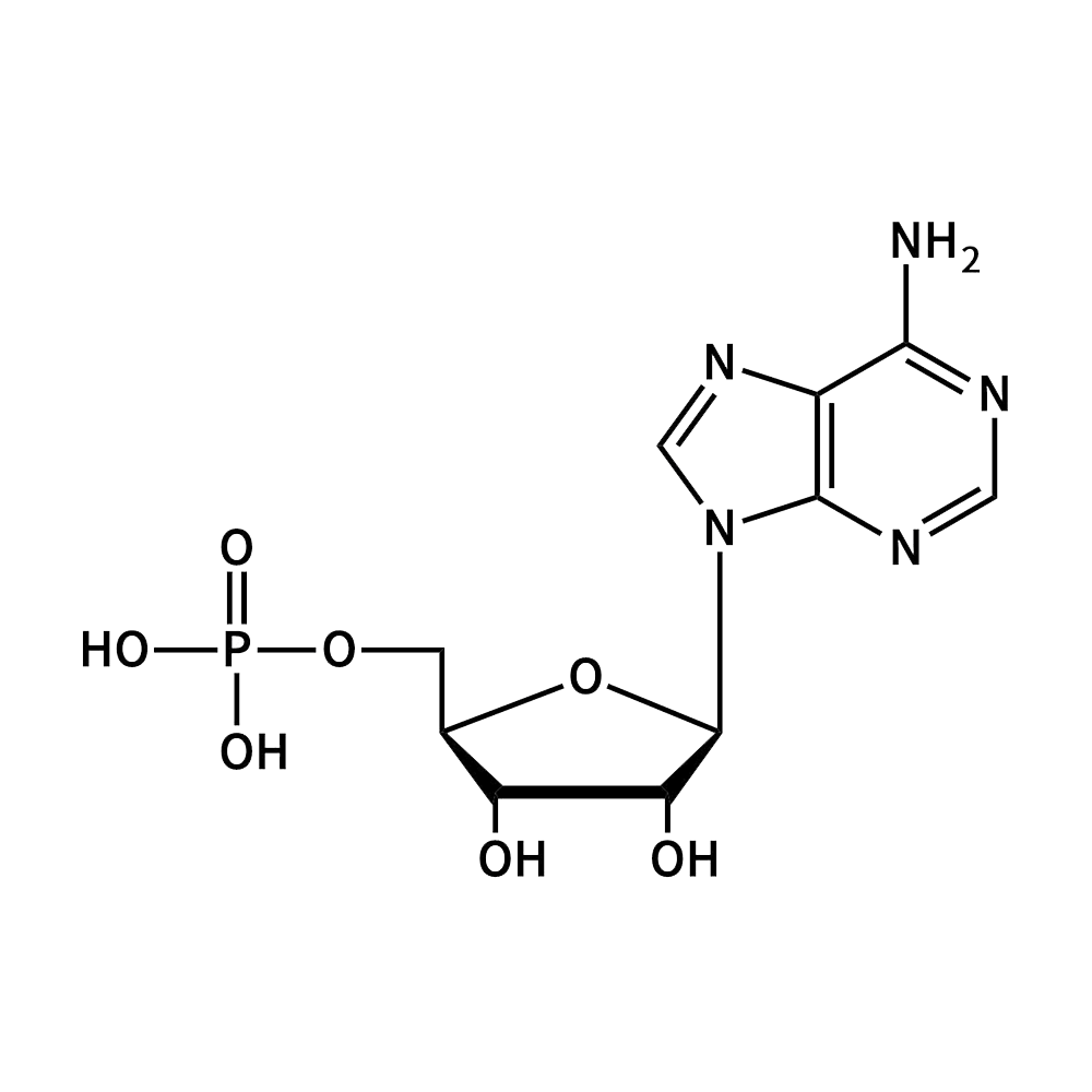 Adenosine-5-monophosphate, free acid