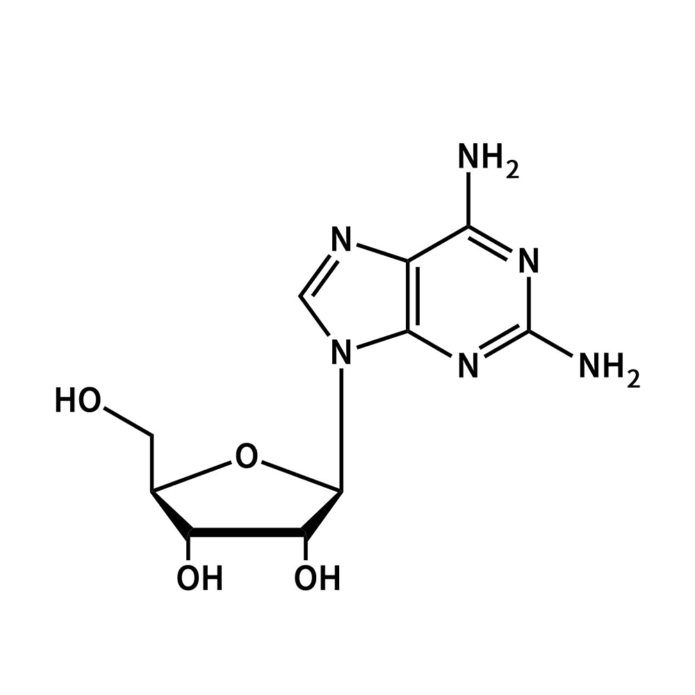 2-Aminoadenosine