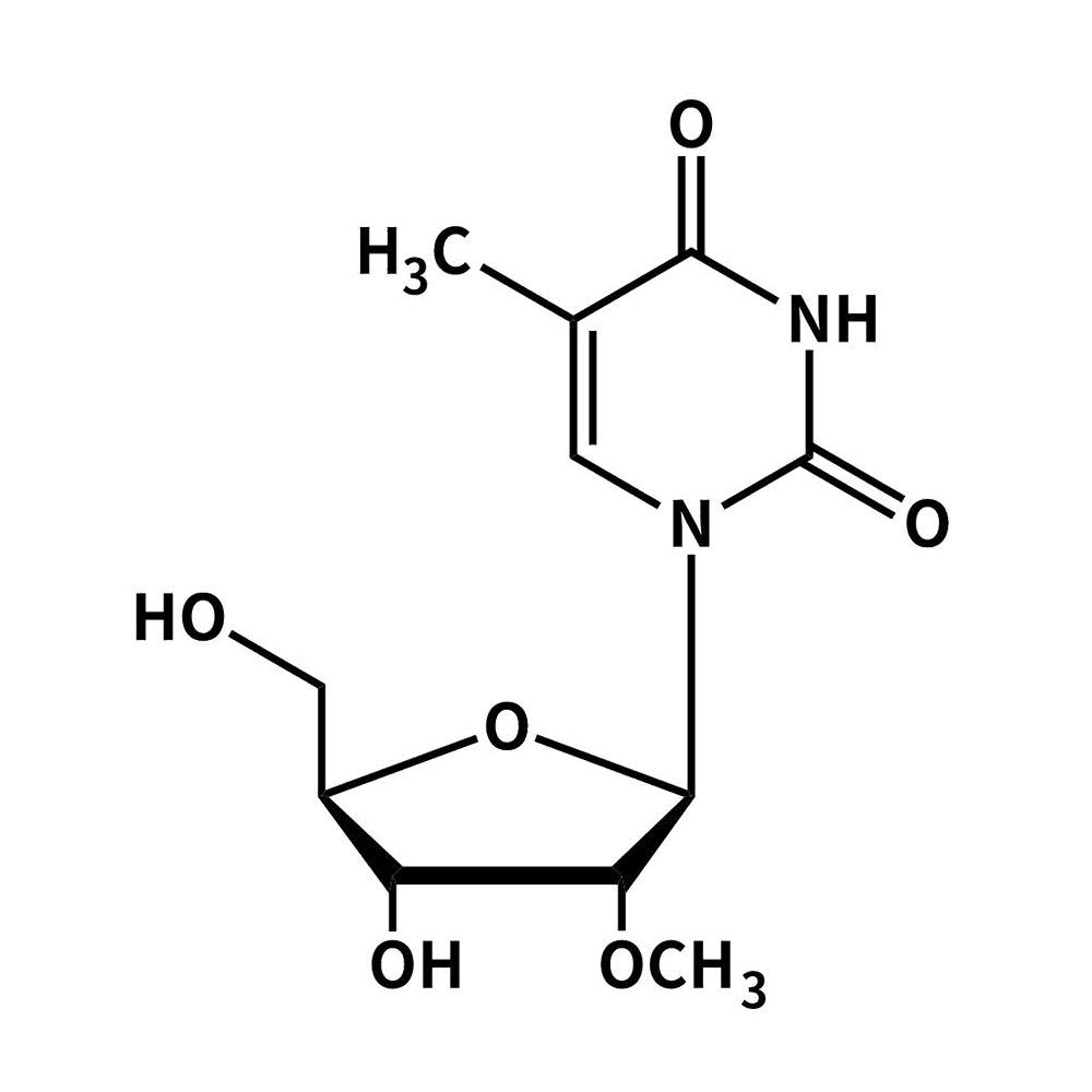 5-Methyl-2'-Methyoxyuridine